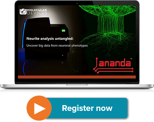 Neuronal Morphological Analysis