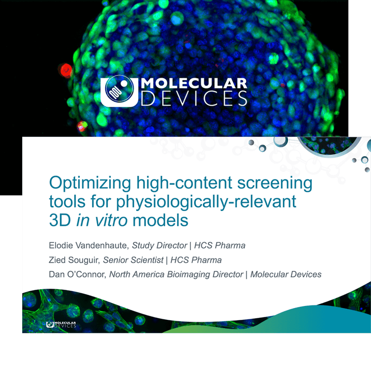 3D in Vitro Models