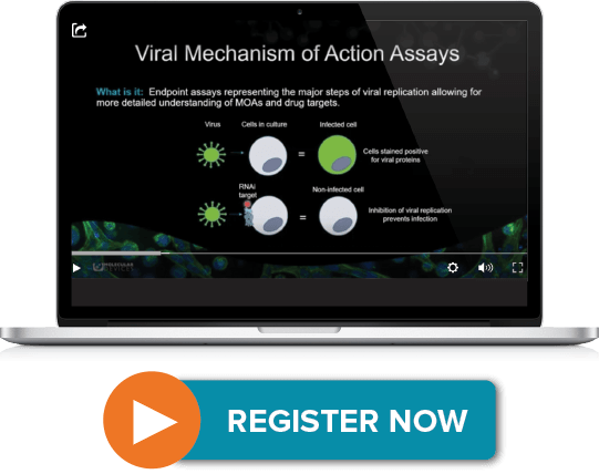 Viral mechanism of action assays