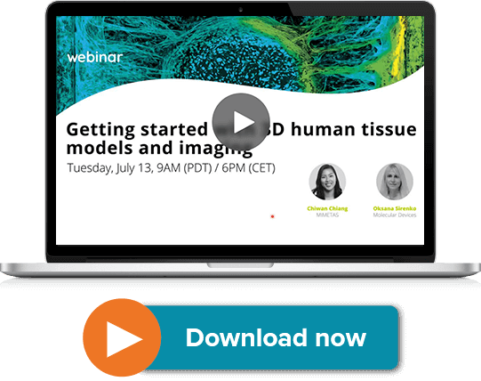 3D human tissue models and imaging