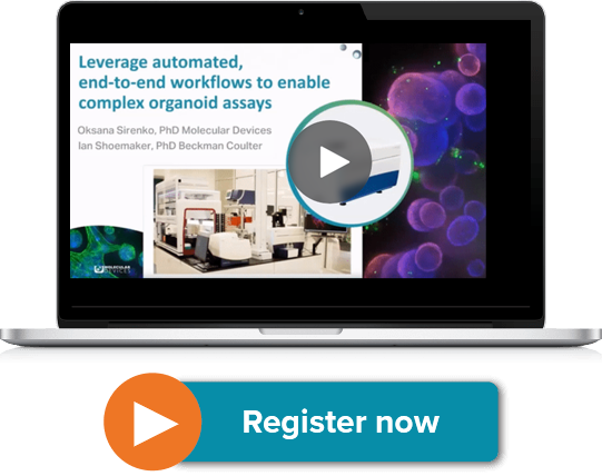 Leverage automated, end-to-end workflows