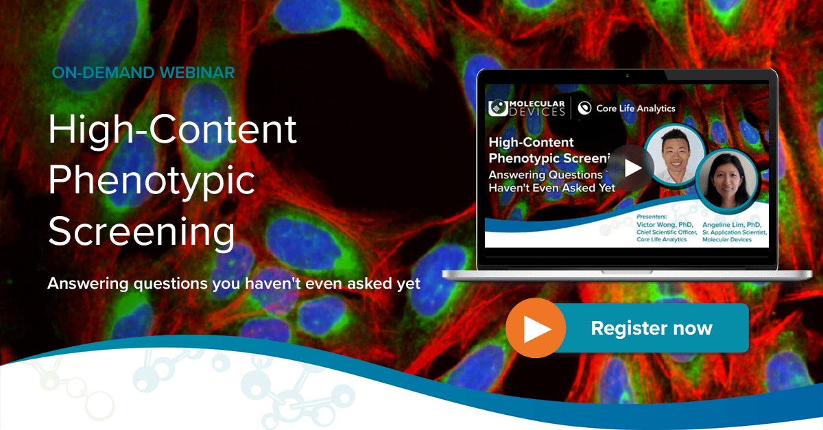 High Content Phenotypic Screening High Content Phenotypic Screening