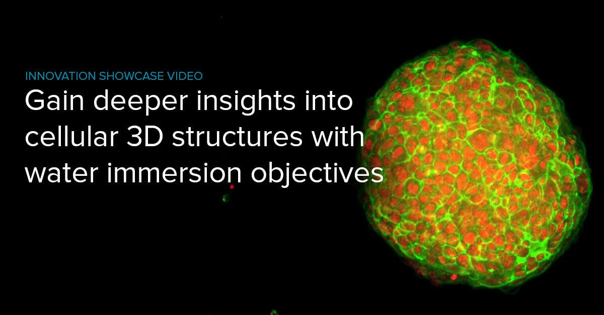 Water Immersion Objectives & HighContent Imaging