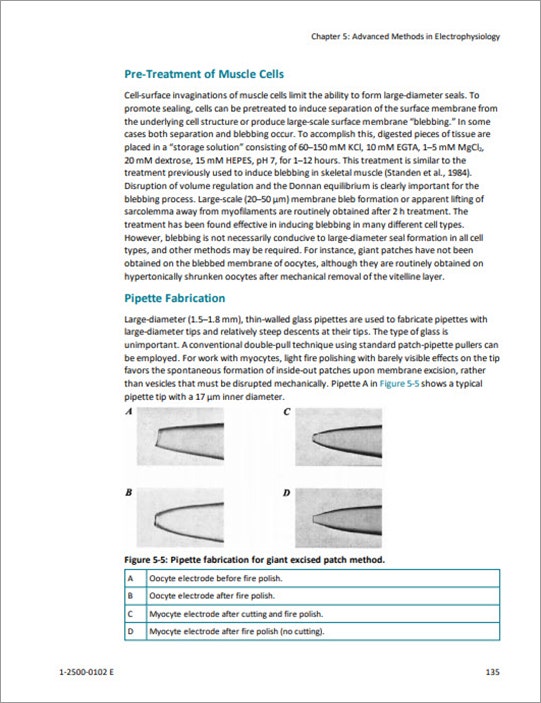 Pre-Treatment of Muscle Cells