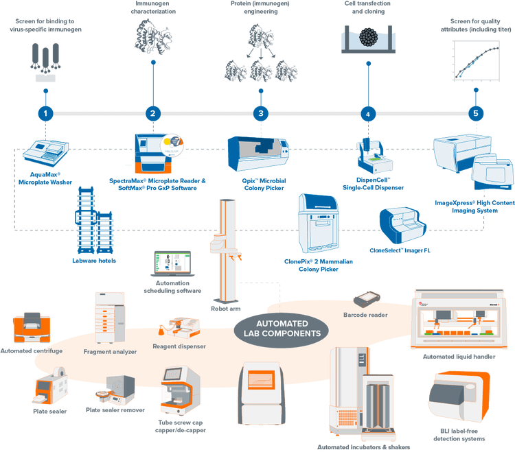 Lab automation Workflow