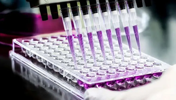 Drug Discovery