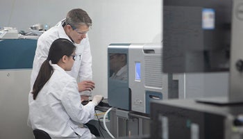 Scientist working on Cell Line Development