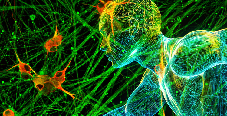 What’s Next -Validating Next-Gen Therapeutics
