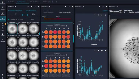 Machine Learning-Enabled Decision Making for Cell Culture