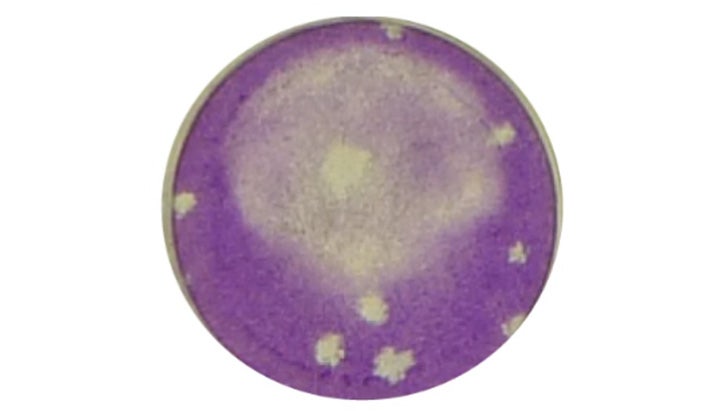 SARS-CoV-2 neutralizing antibody