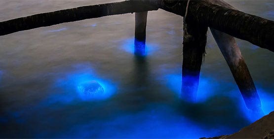 Luminescence