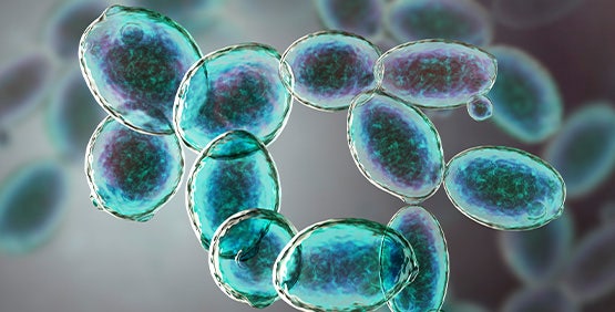 Precision Fermentation