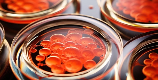 Cellular Agriculture