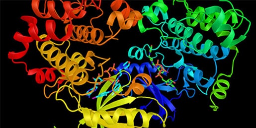 Enzyme kinetics, bacterial / microbial growth