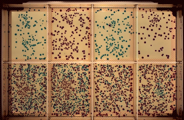 Microbiomes