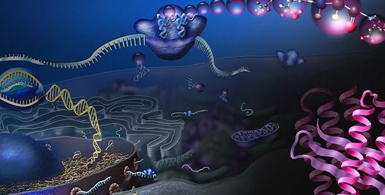 Protein Detection in ELISA Workflows