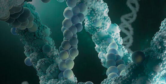 Plasmid engineering in synthetic biology