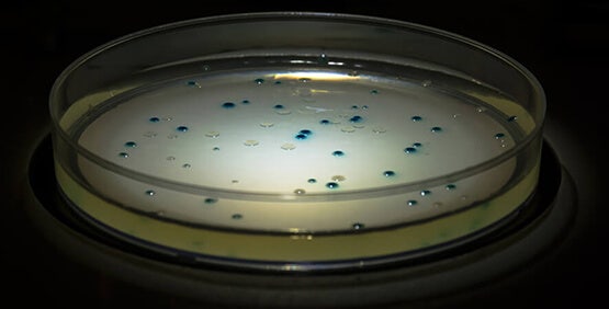 Blue-White Screening