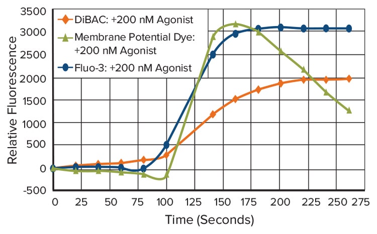 Ligand-gated Calcium Channel Comparison