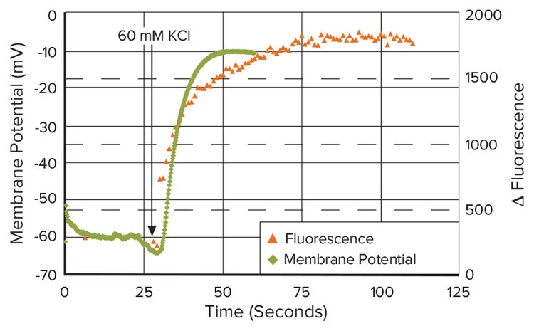 Comparison of Patch Clamp and FLIPR Membrane Potential Assay Kit Data