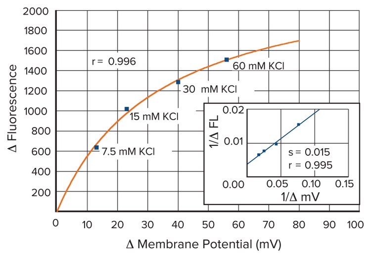 Fluorescence vs Membrane Potential Change