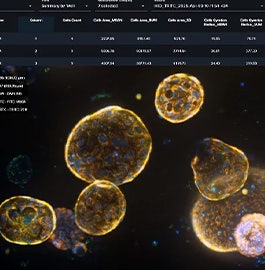 Overcoming Challenges in Live-Cell Imaging of 3D Cell Cultures