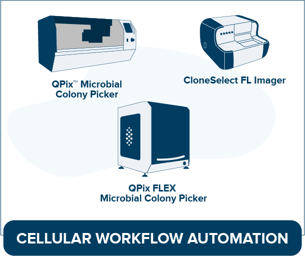 Cellular Workflow Automation