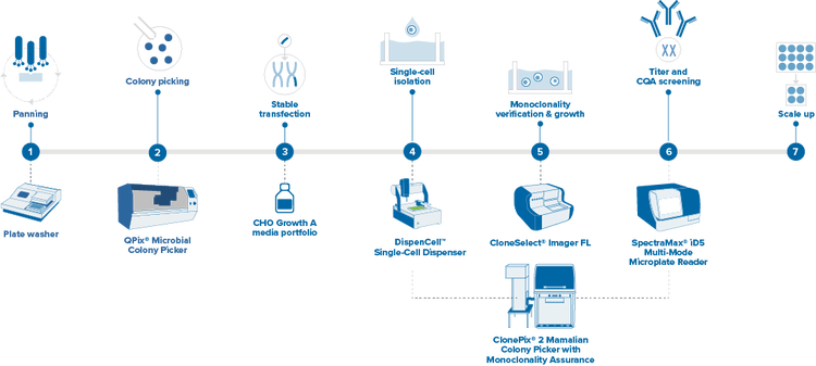 Monoclonal Antibody Discovery