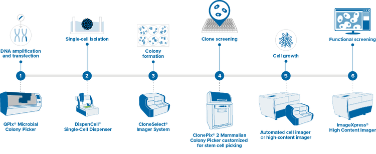 CELL & GENE THERAPIES