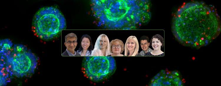 Molecular Devices 3D biology experts