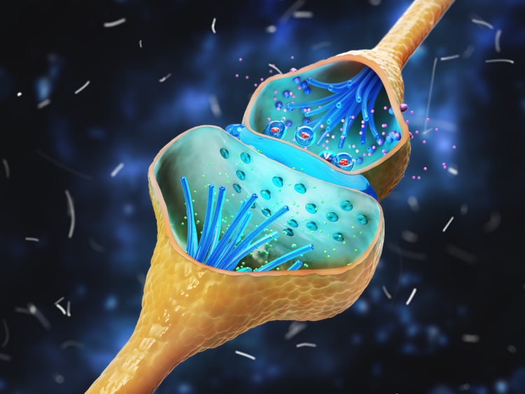 Pipette-based Perfusion Methods