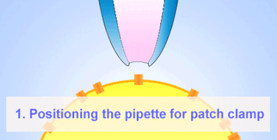 Positioning the Pipette for Patch Clamp