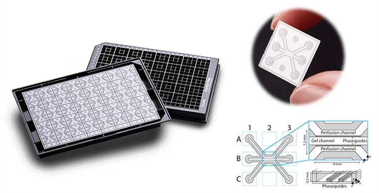 Mimeta’s organ-on-a-chip technology, OrganoPlate