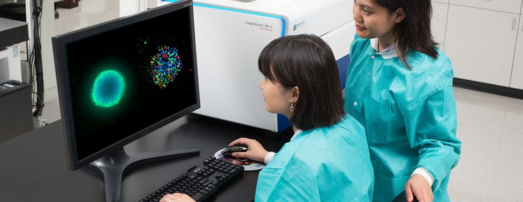 Scientist working on 3D cell imaging and analysis workflow