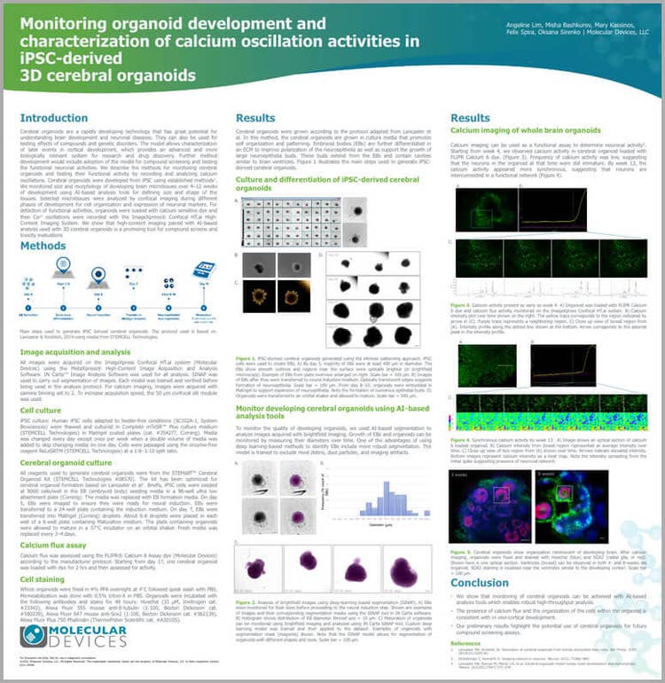 Monitoring organoid development in iPSC-derived 3D cerebral organoids