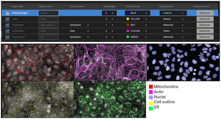 IN Carta™ Image Analysis Software