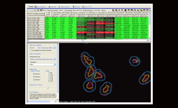 High Content Data-Mining