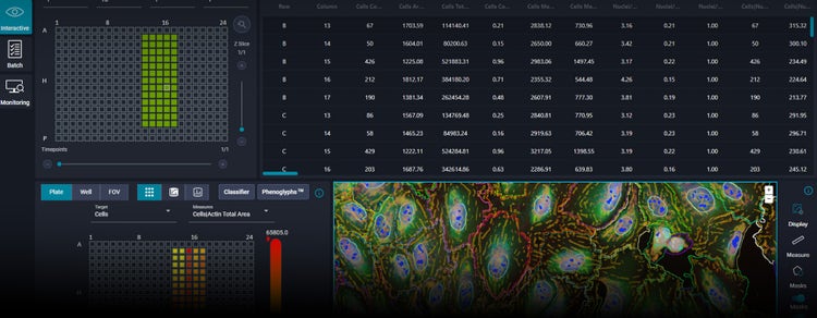 AI-Enabled Data Analytics