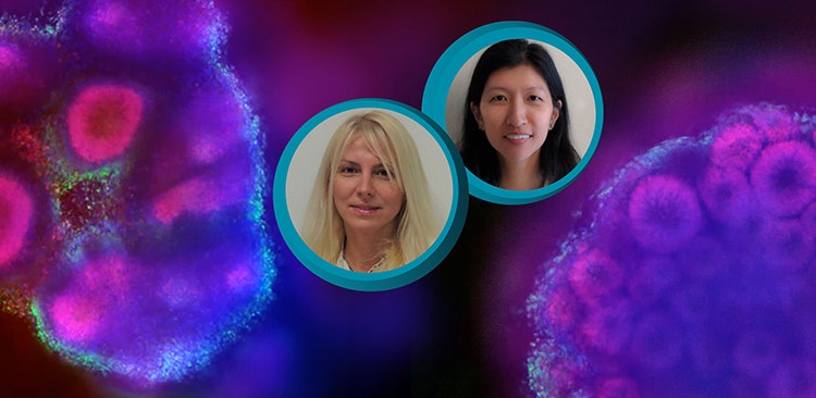 Oksana Sirenko and Angelina Lim