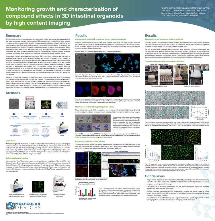 3D intestinal organoids with high-content imaging