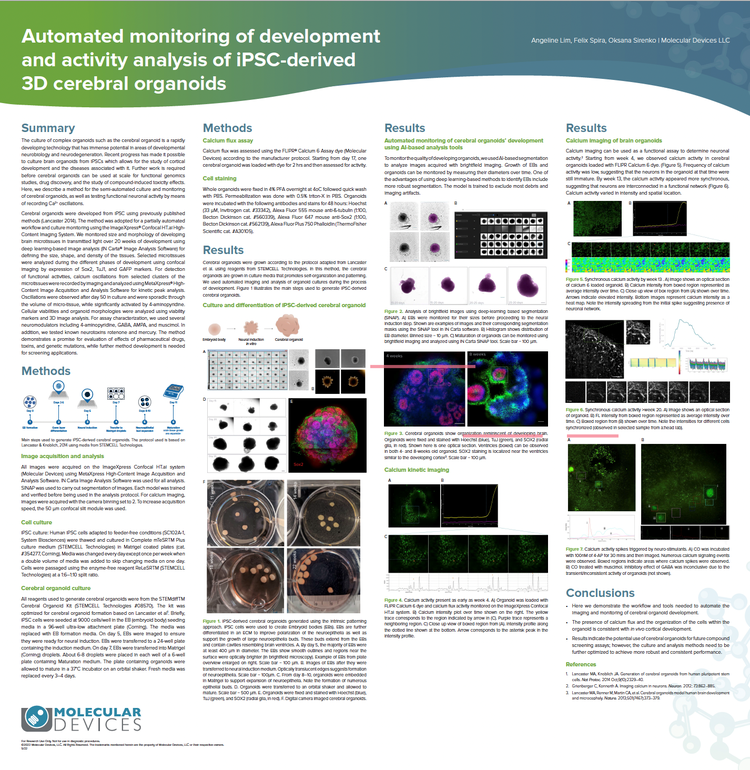 iPSC-derived 3D cerebral organoids