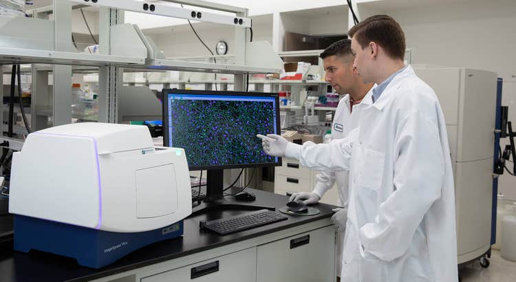 Scientists running a live cell imaging experiment