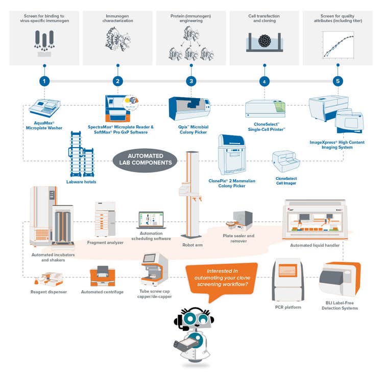 Lab Automation clone screening