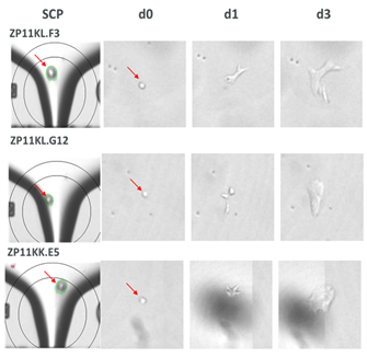 single cell images with the CloneSelect Single-Cell Printer