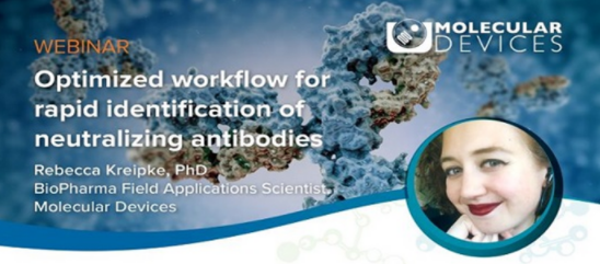 Rapid Identification of Neutralizing Antibodies against Viral Particles