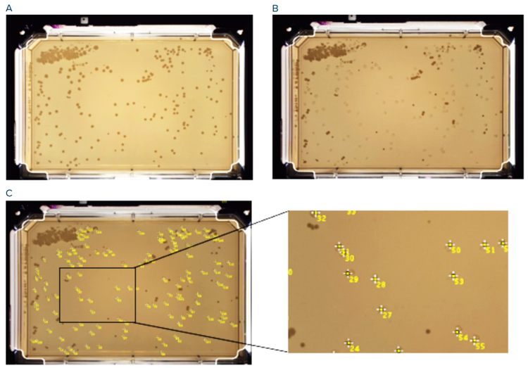 Pre-pick (A) and post-pick (B) images of the source plate for picking process