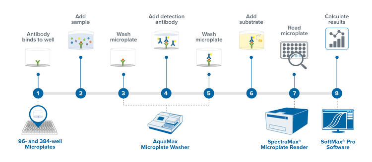 Process of diagnostic development using ELISA