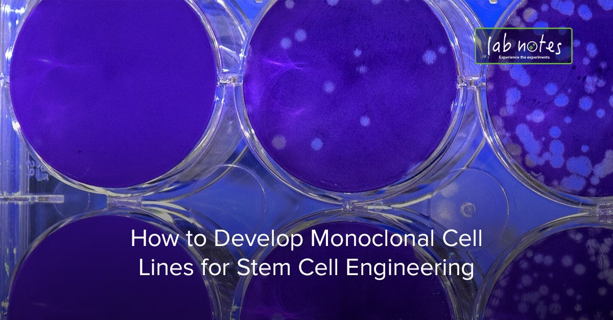 How to Develop Monoclonal Cell Lines for Stem Cell Engineering