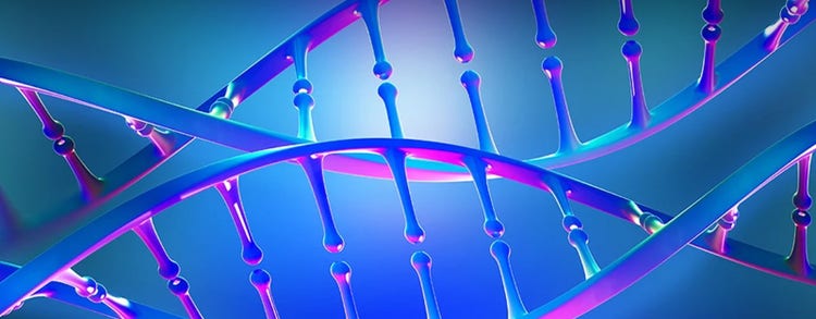 CRISPR Genome Editing