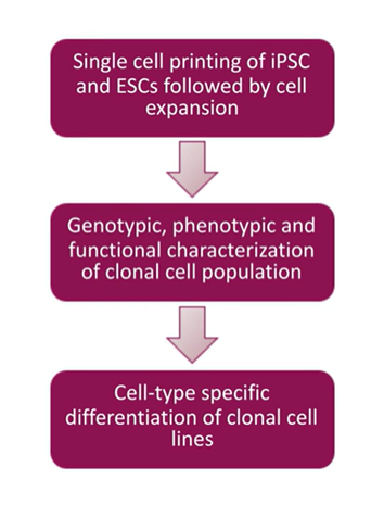 Workflow to Start With Any Cell Population